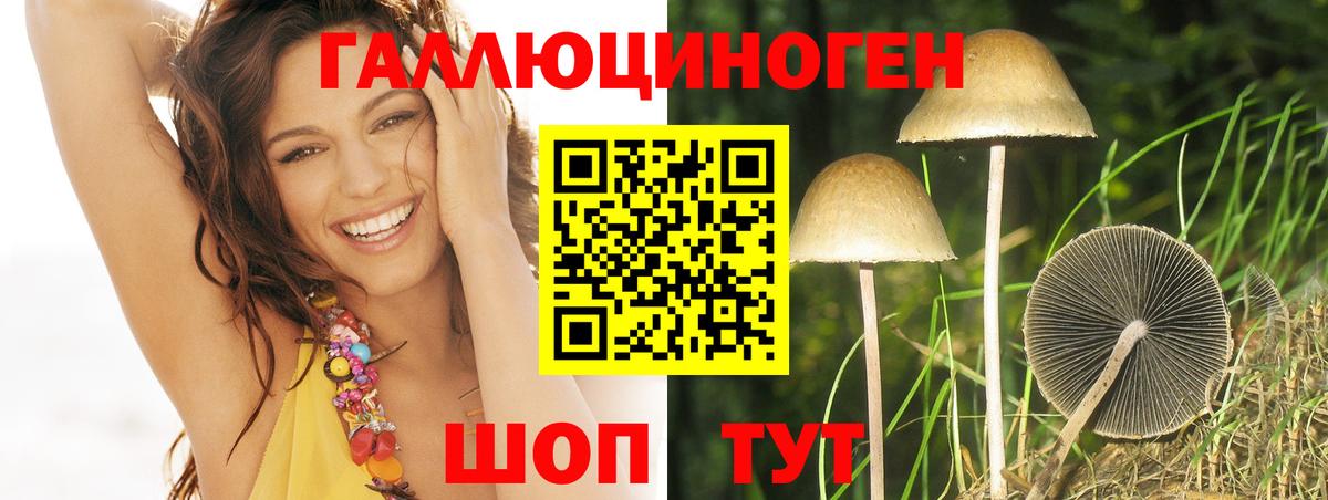 Псилоцибиновые грибы Psilocybe  Вход с VPN  Галлюциногенные грибы мицелий  Арсеньев 